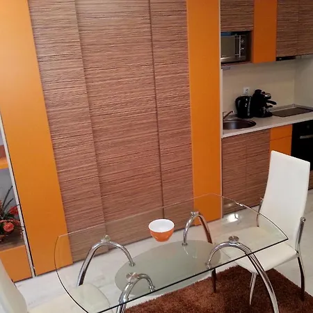 Apartment Downtown Sofia