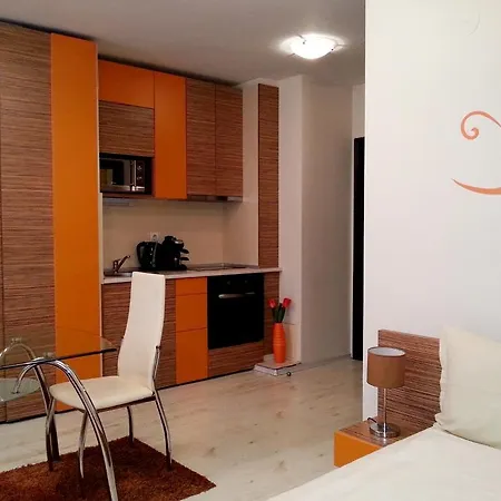 Downtown Apartment